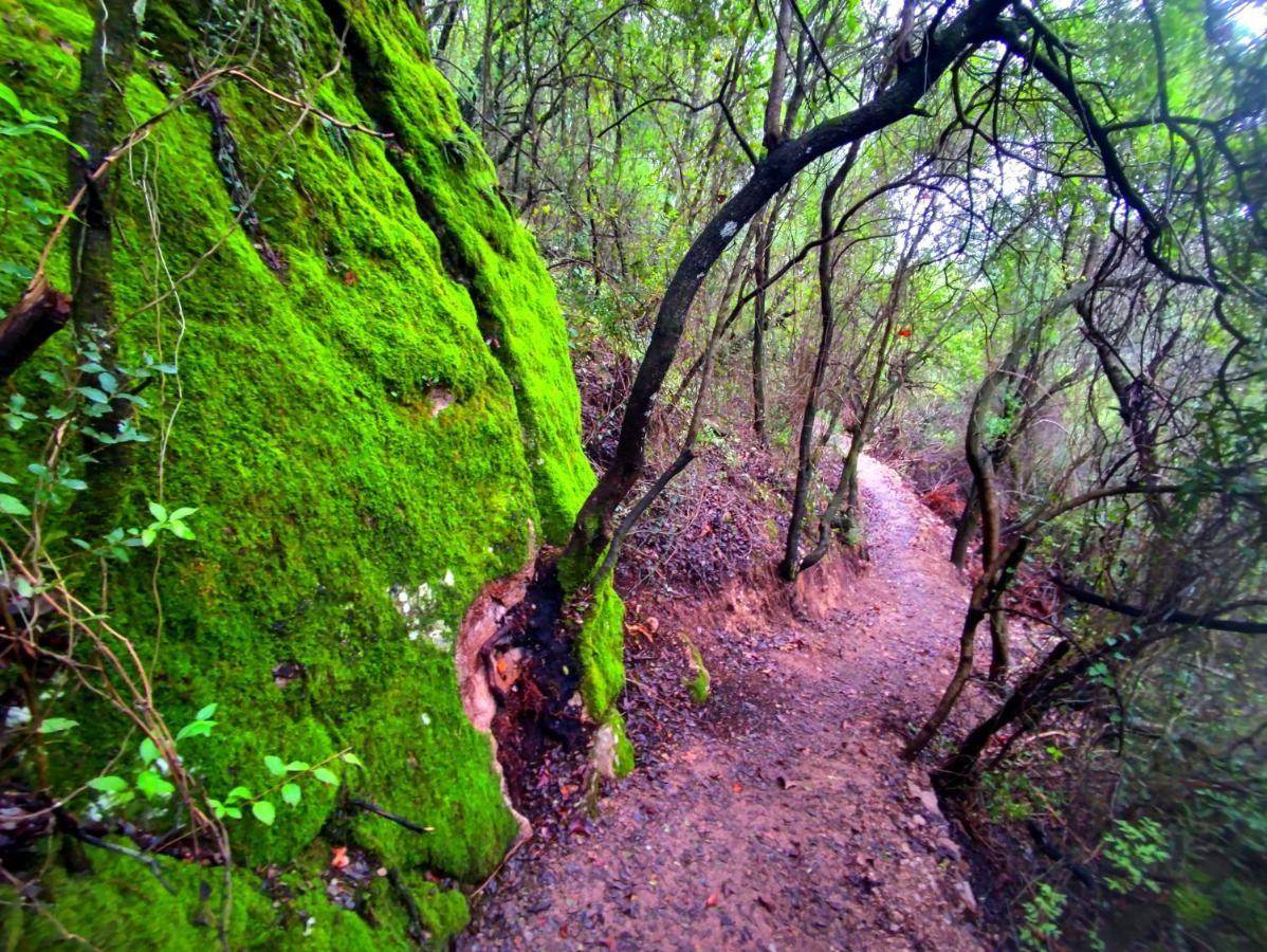 La Casa Del Naturalista El Bosque (Cadiz)
