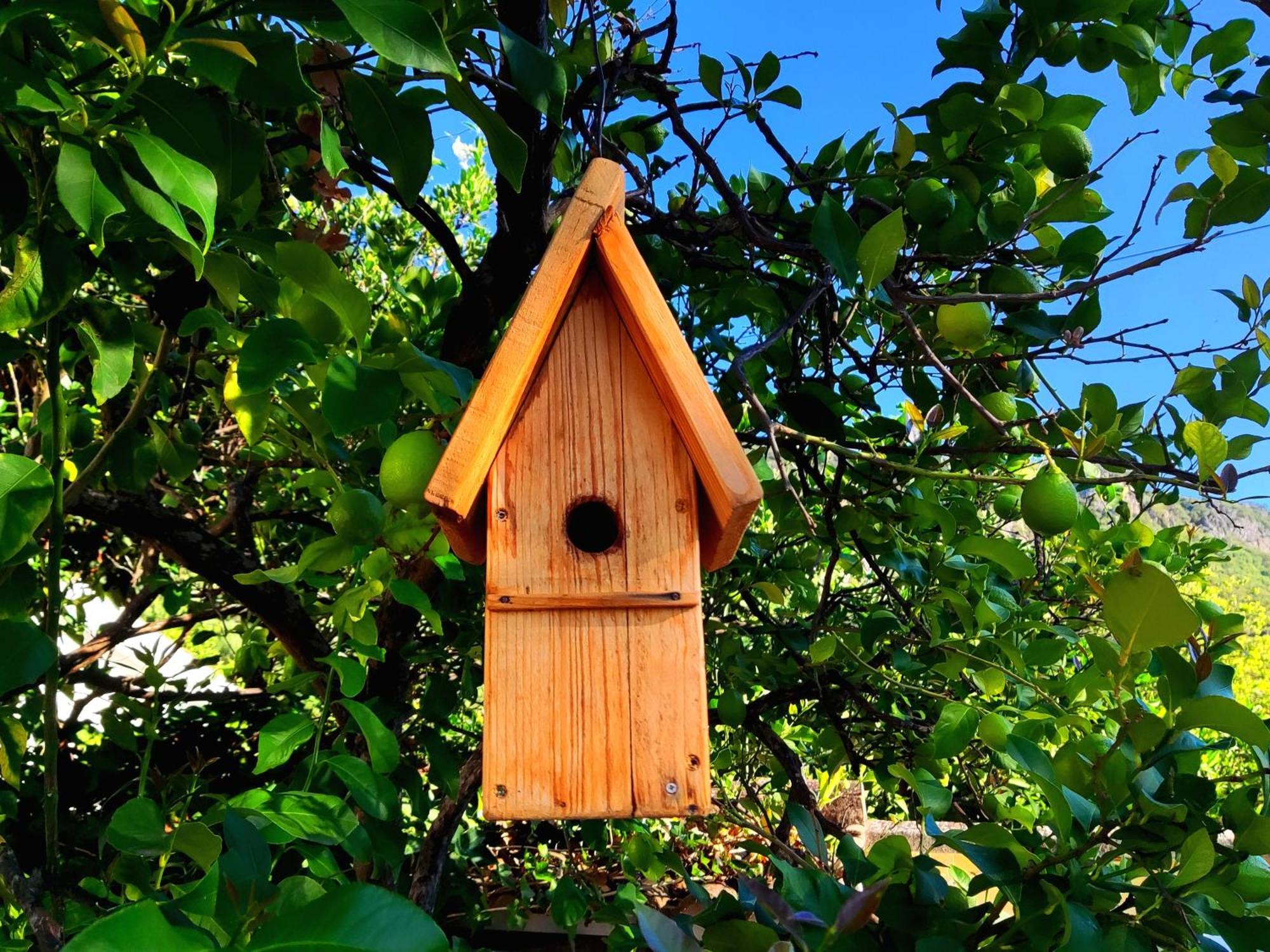 La Casa Del Naturalista * El Bosque (Cadiz)